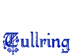 TullRing Page Banner